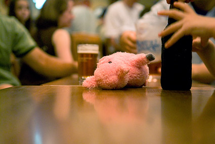 Cute little piggy, trying to steal some beer Cute little piggy, trying to steal some beer