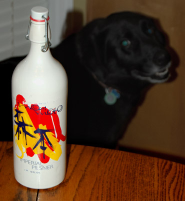 Miles looking longingly at a beautiful bottle of Rogue Imperial Pilsner Miles looking longingly at a beautiful bottle of Rogue Imperial Pilsner
